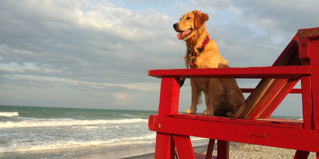 Lucy the First Mate